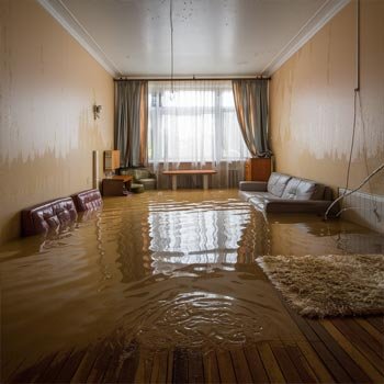 My Seattle Water Damage Restoration